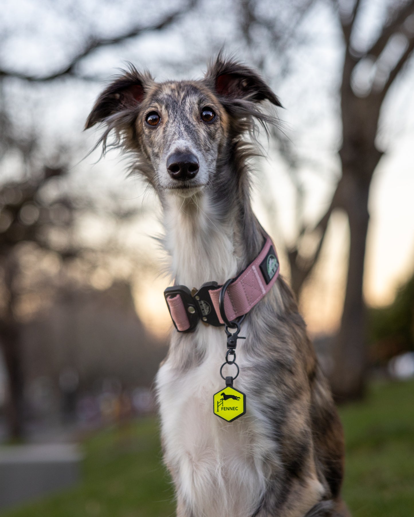 Custom Silicone Pet ID Tag