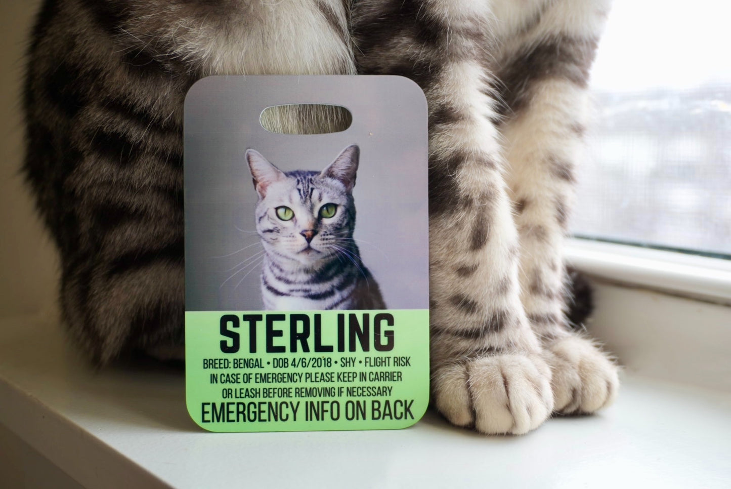 Emergency Information Crate Tag
