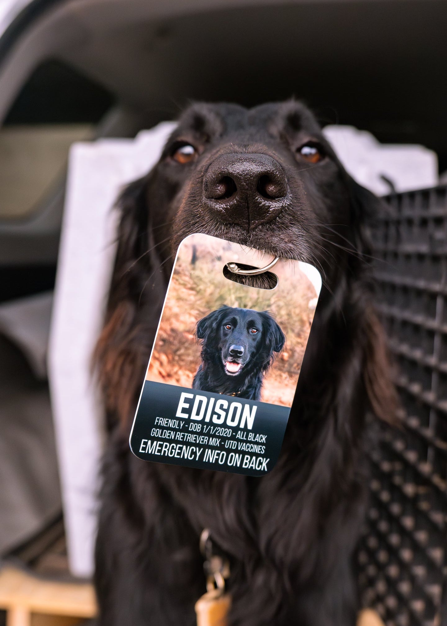 Emergency Information Crate Tag