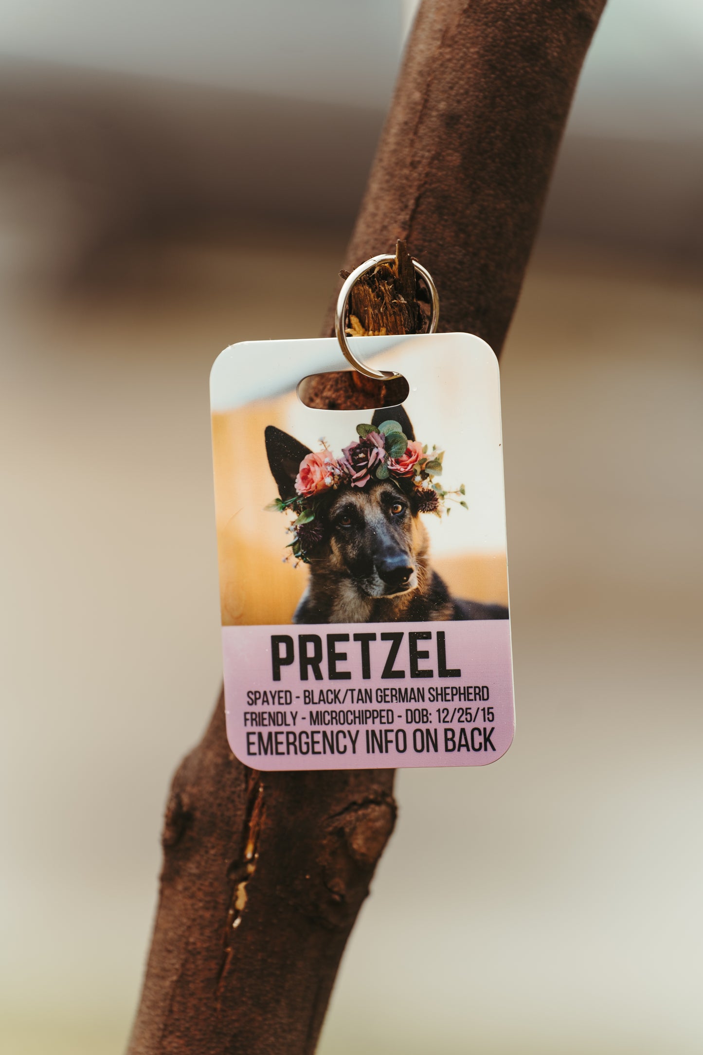 Emergency Information Crate Tag