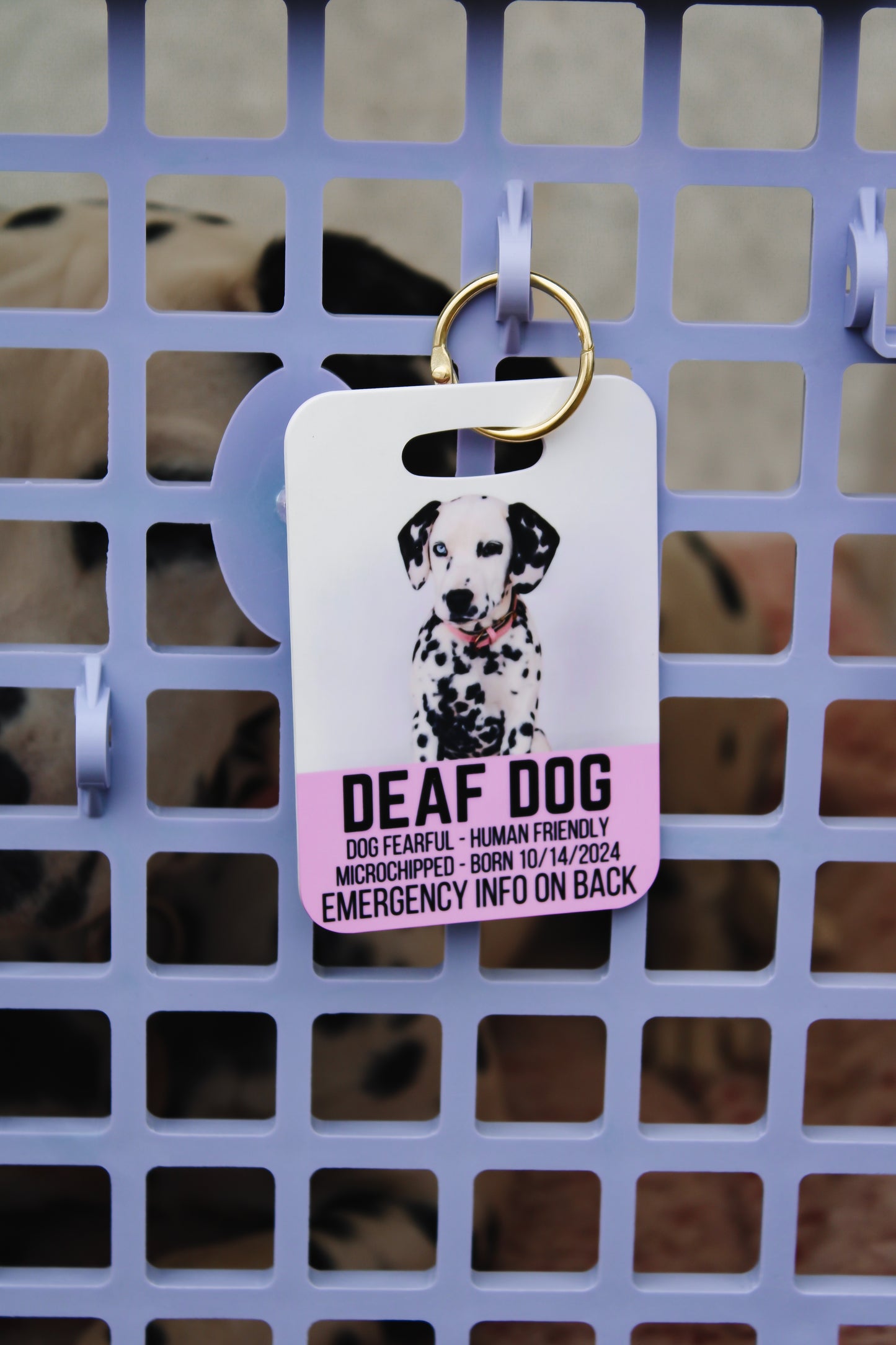 Emergency Information Crate Tag
