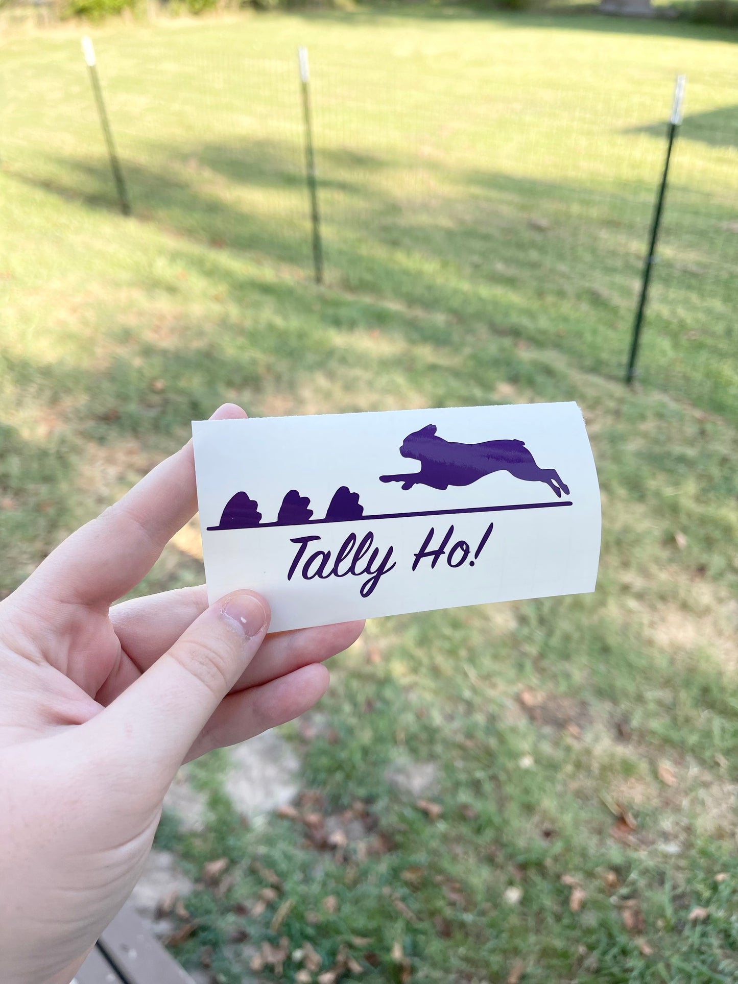 "Tally Ho!" Custom Decal