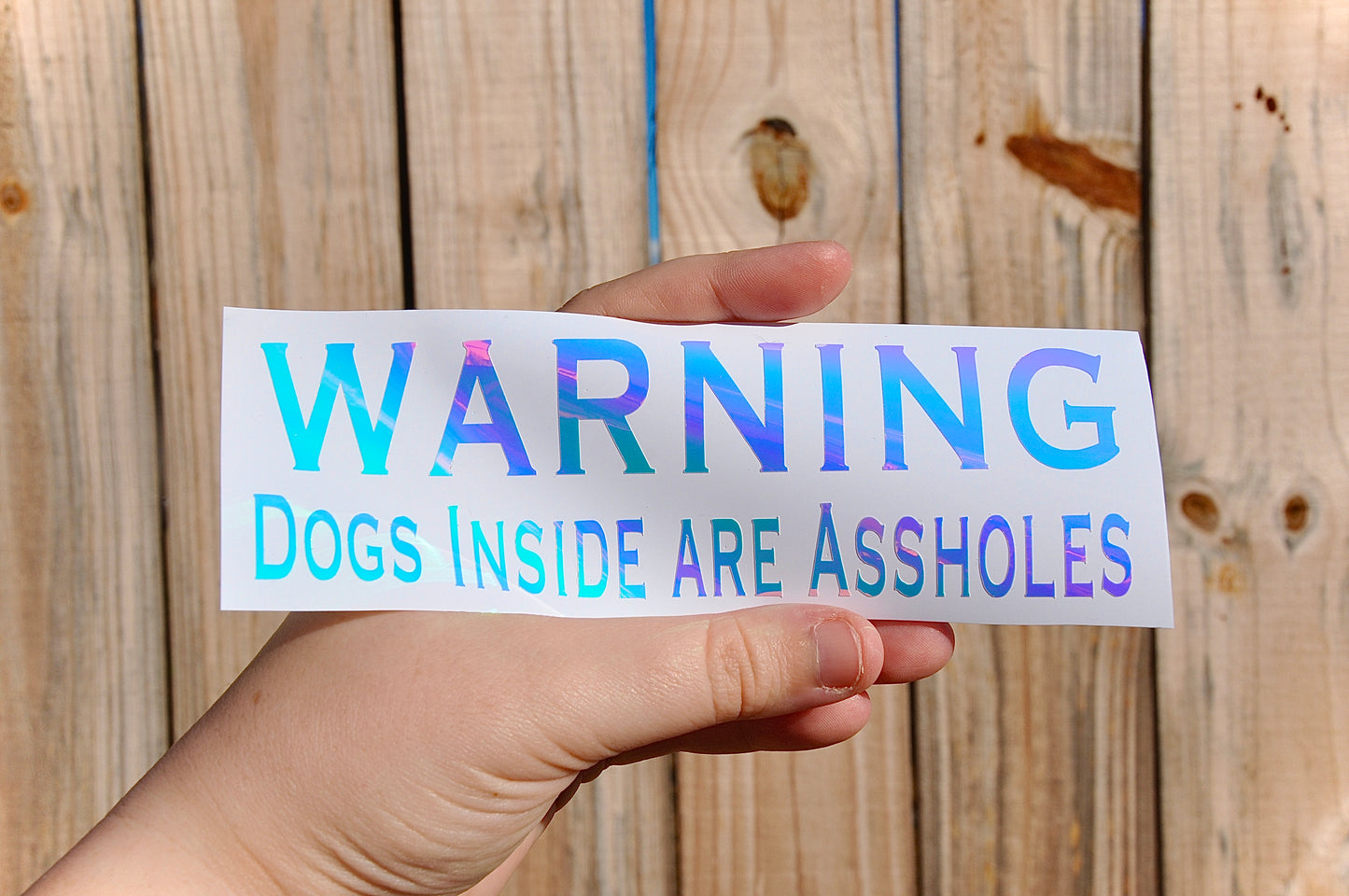 "Dogs inside are a**holes" Decal