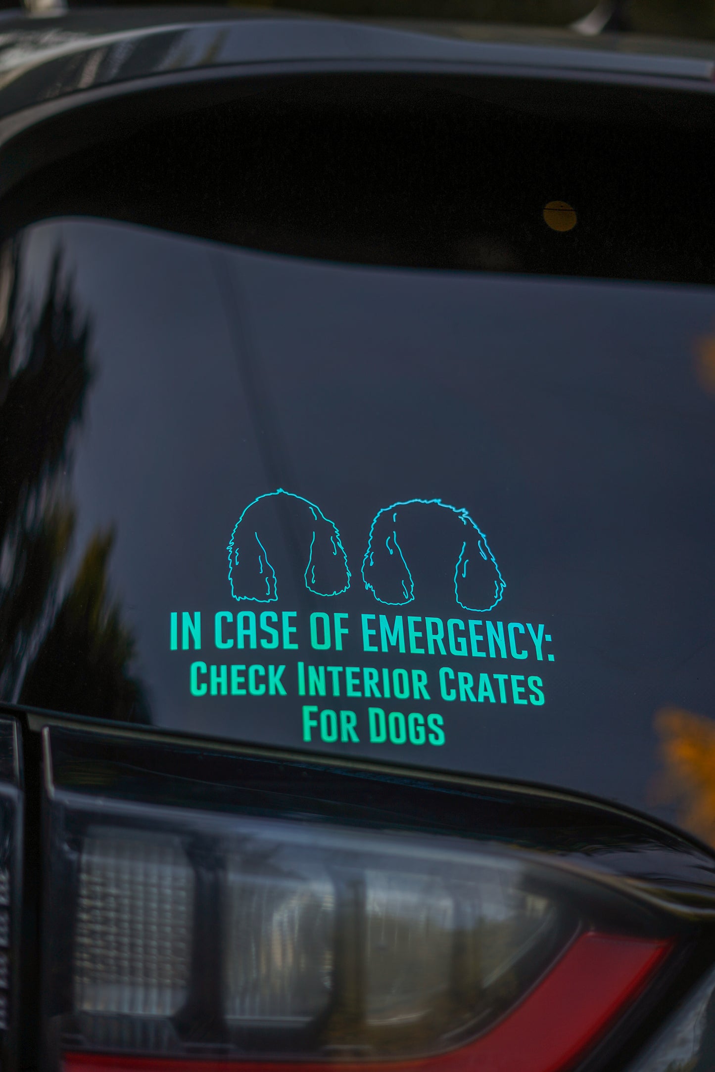 "In Case of Emergency Check Crates" Decal
