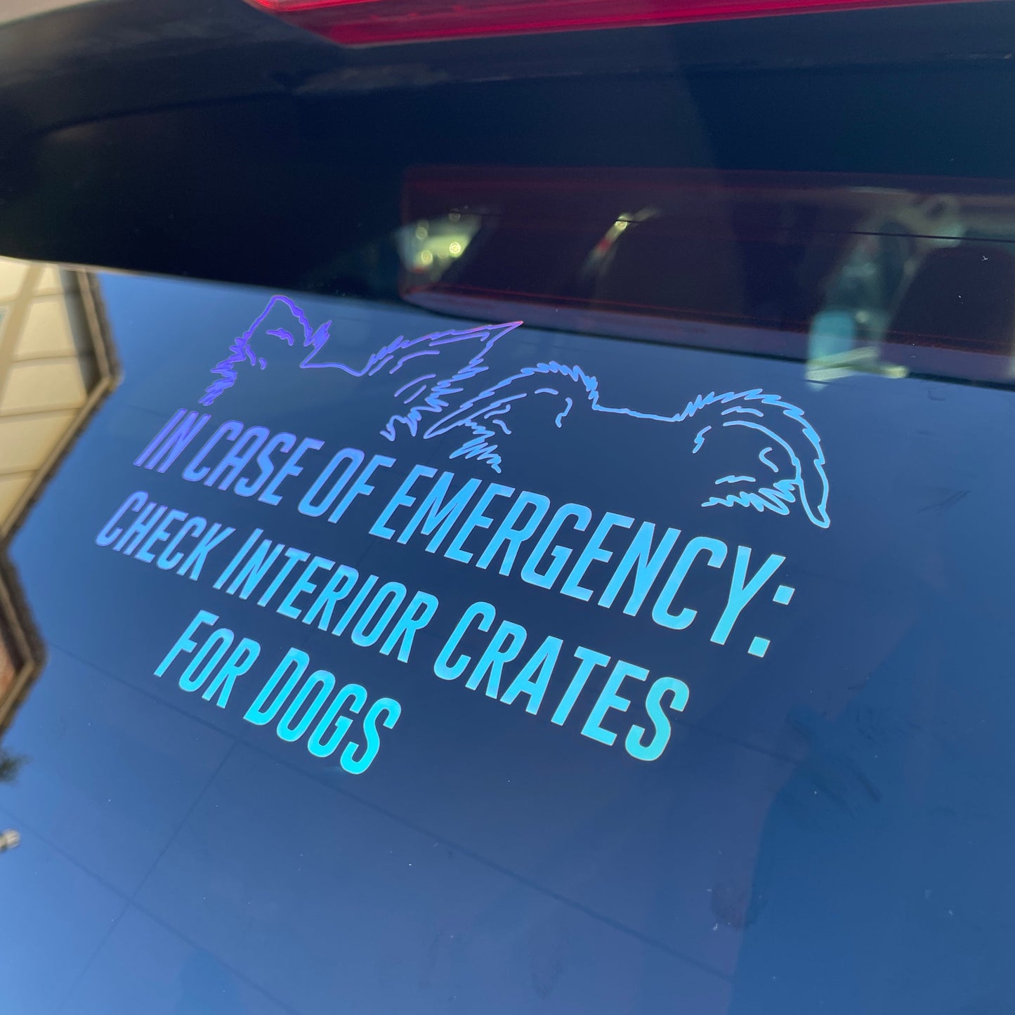 "In Case of Emergency Check Crates" Decal