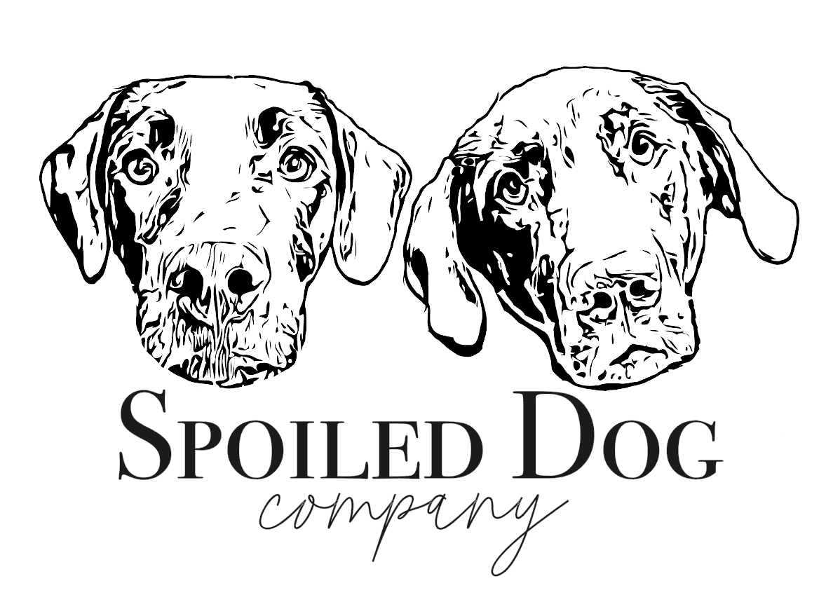 https://spoileddogco.com/cdn/shop/files/logo_1188x.png?v=1641843035